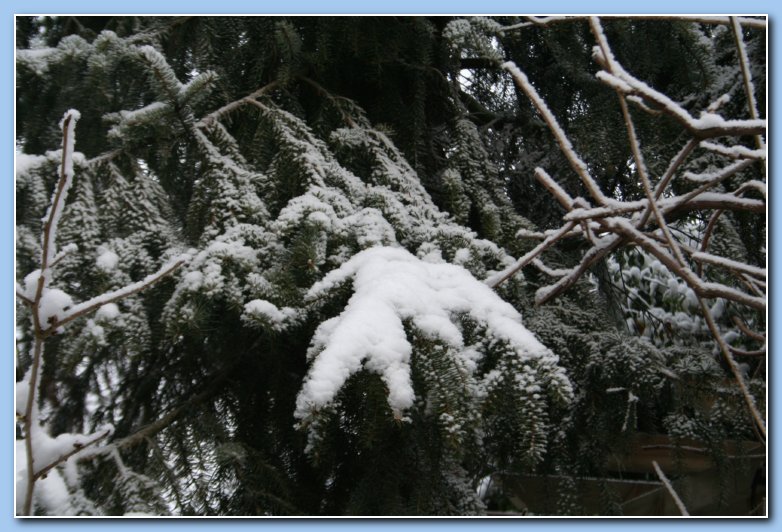 Arnhem Snow 079
